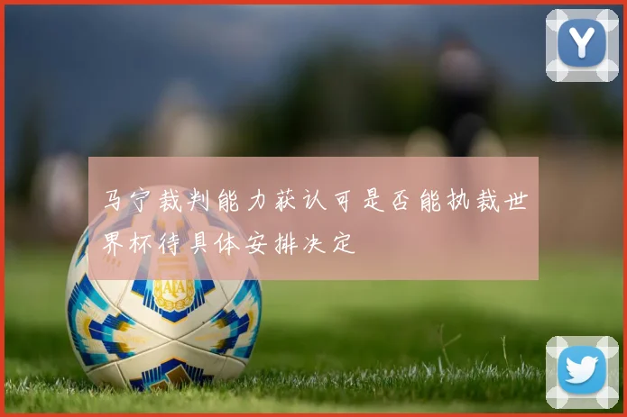马宁裁判能力获认可是否能执裁世界杯待具体安排决定